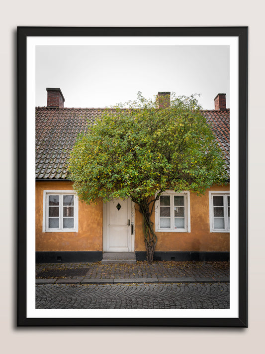 Gula Huset och Gröna Trädet