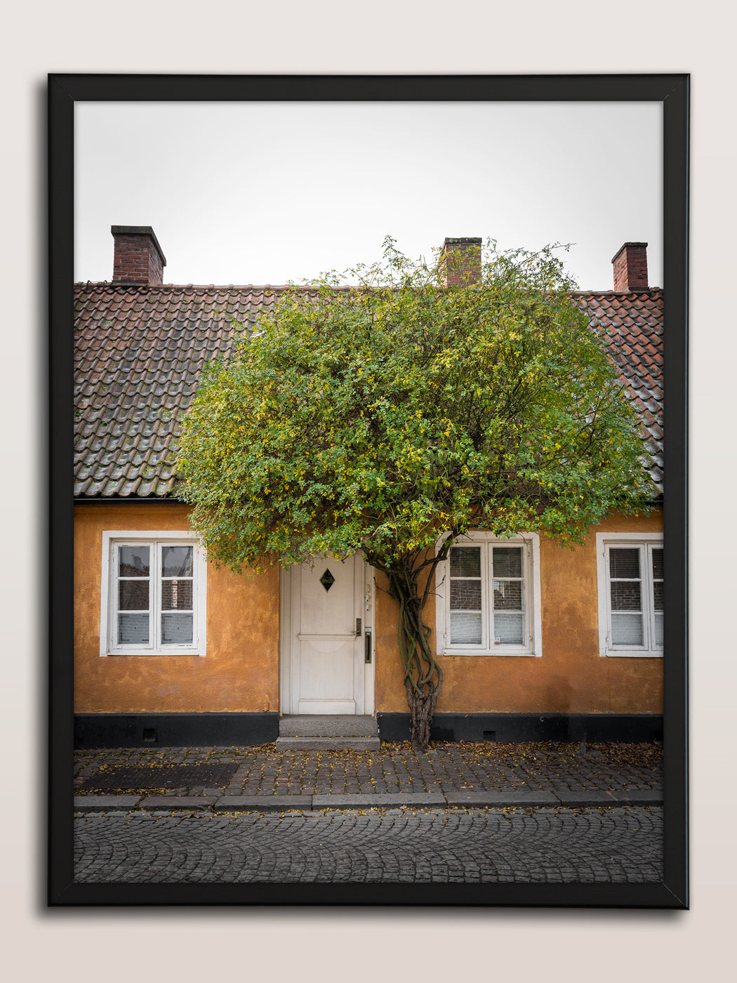 Gula Huset och Gröna Trädet