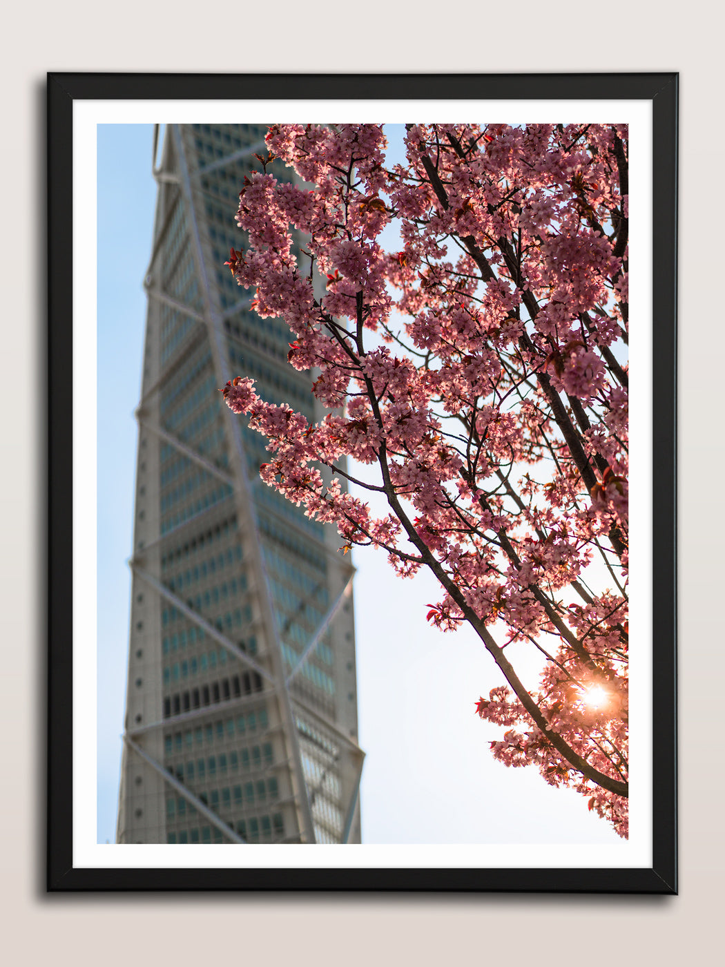 Körsbärsträd och Turning Torso