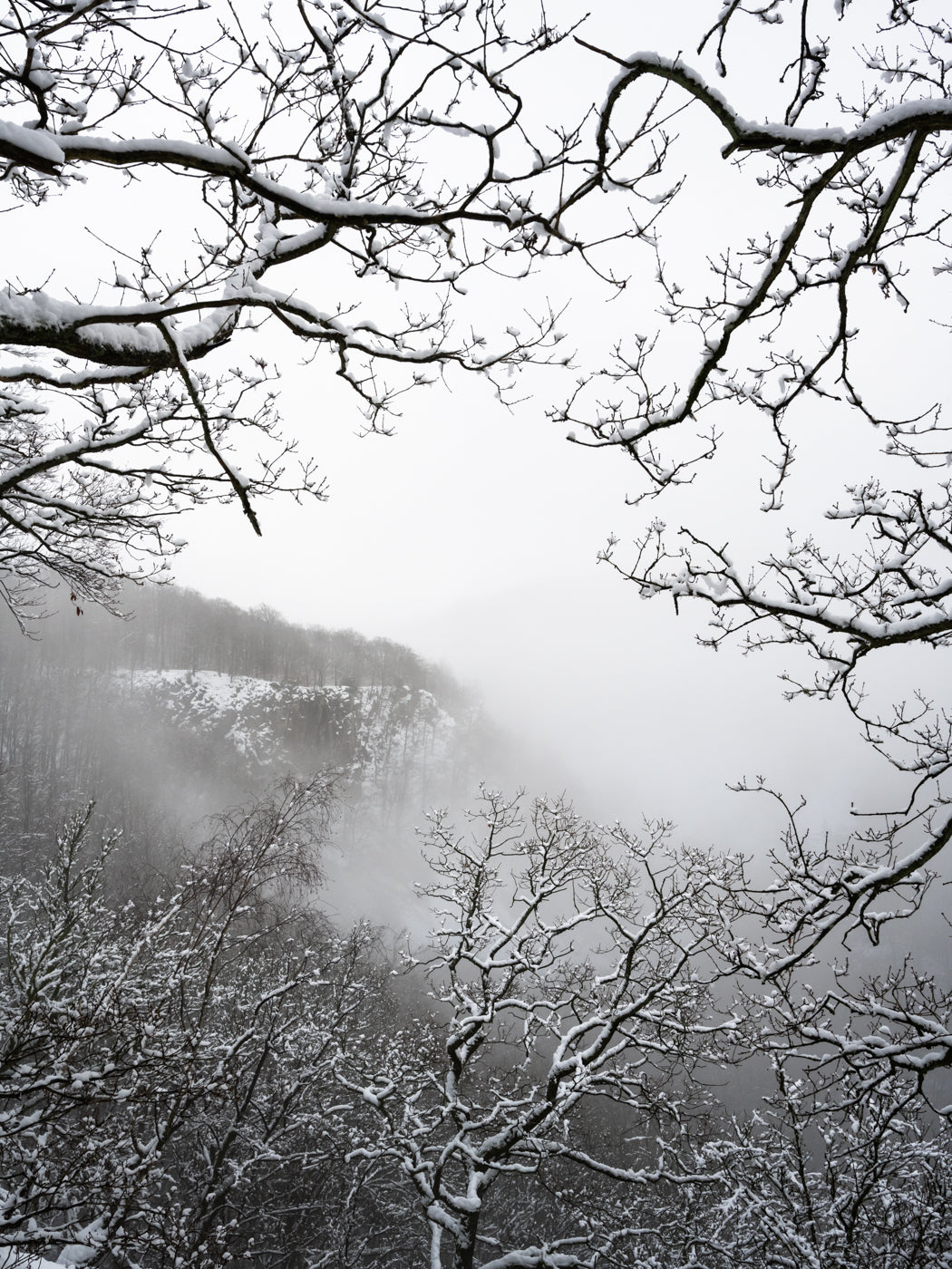 Vinter i Söderåsen